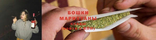прущие крисы Тайга