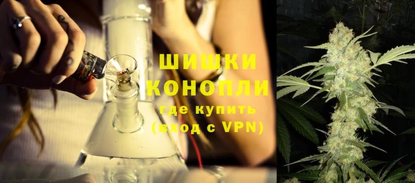 прущие крисы Тайга